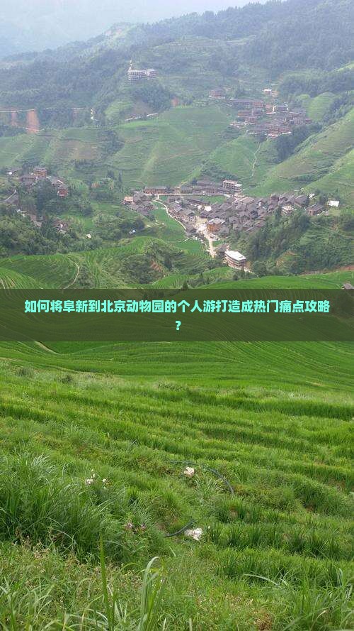 如何将阜新到北京动物园的个人游打造成热门痛点攻略？