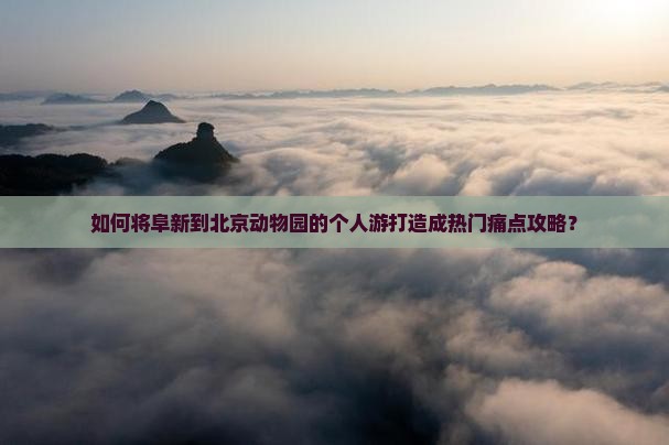 如何将阜新到北京动物园的个人游打造成热门痛点攻略？