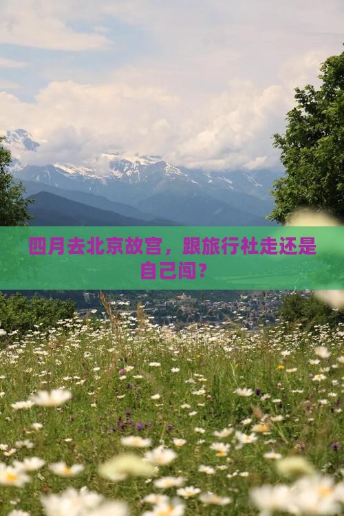 四月去北京故宫，跟旅行社走还是自己闯？