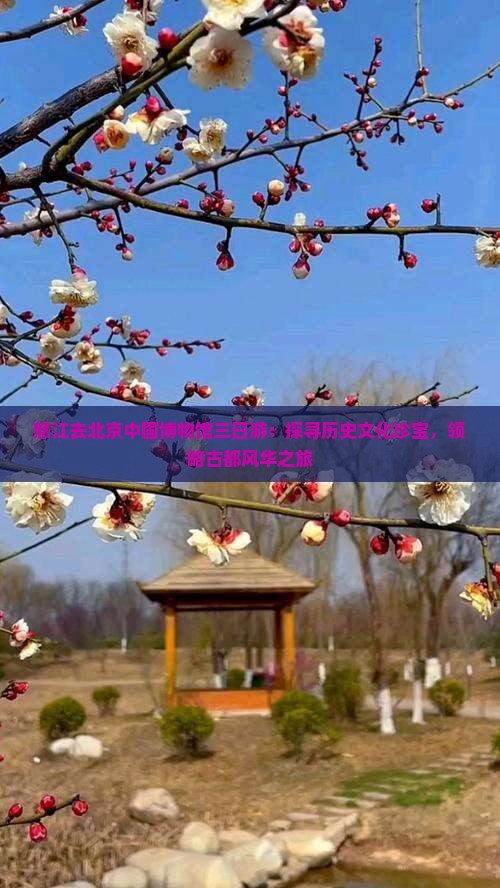 怒江去北京中国博物馆三日游：探寻历史文化珍宝，领略古都风华之旅
