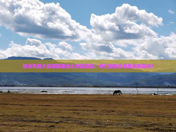 听说有超大旅游团要去北京圆明园？我们跟着去看看能发现啥？