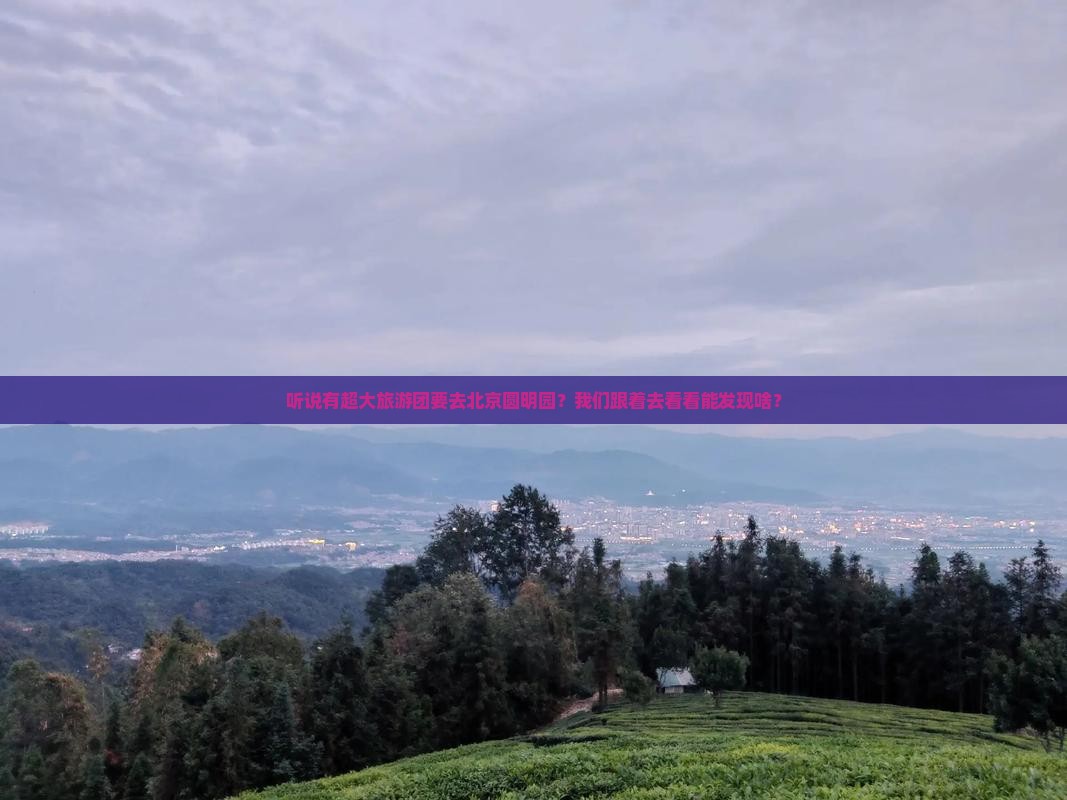 听说有超大旅游团要去北京圆明园？我们跟着去看看能发现啥？