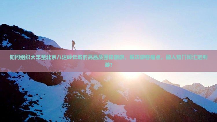 如何组织大丰至北京八达岭长城的高品质团体旅游，解决游客痛点，融入热门词汇定制游？