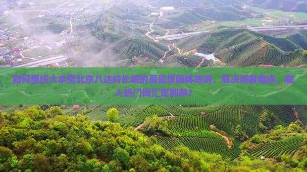 如何组织大丰至北京八达岭长城的高品质团体旅游，解决游客痛点，融入热门词汇定制游？