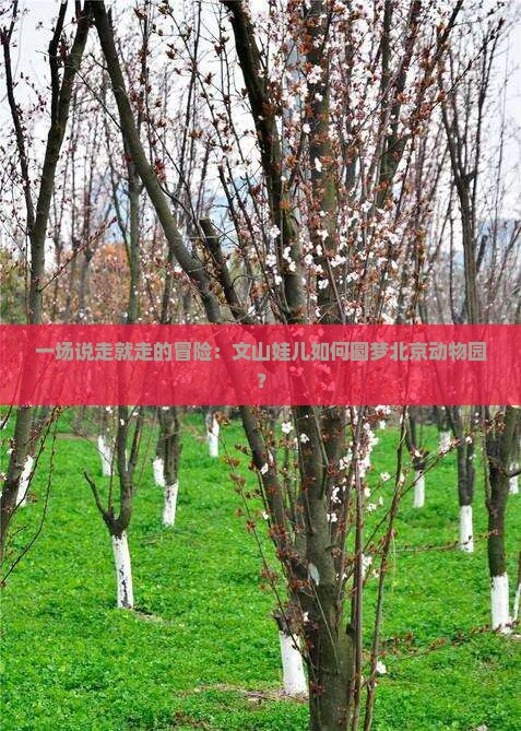 一场说走就走的冒险：文山娃儿如何圆梦北京动物园？