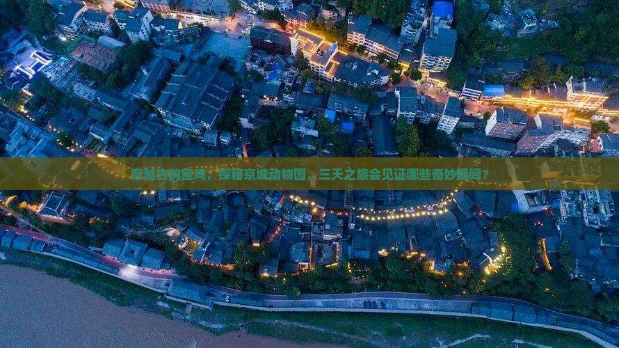 穿越古韵宝鸡，探秘京城动物园，三天之旅会见证哪些奇妙瞬间？