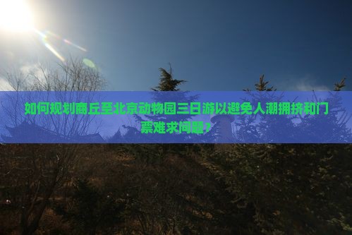 如何规划商丘至北京动物园三日游以避免人潮拥挤和门票难求问题？