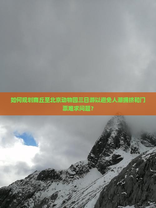 如何规划商丘至北京动物园三日游以避免人潮拥挤和门票难求问题？