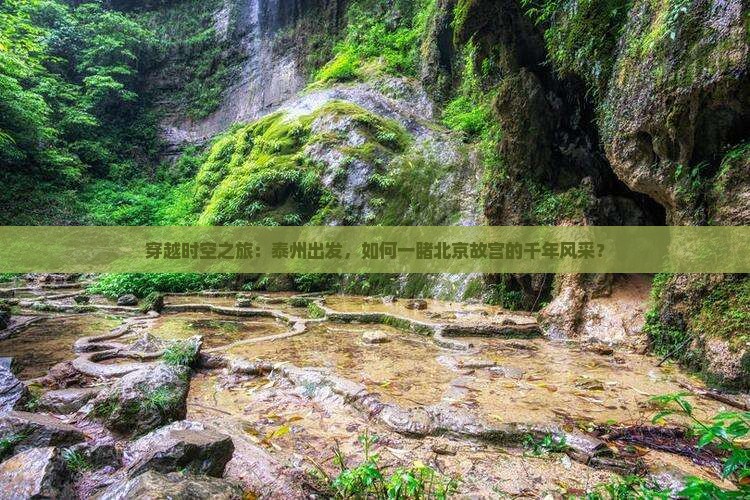 穿越时空之旅：泰州出发，如何一睹北京故宫的千年风采？
