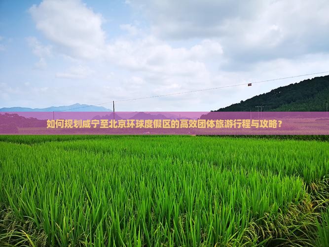 如何规划咸宁至北京环球度假区的高效团体旅游行程与攻略？