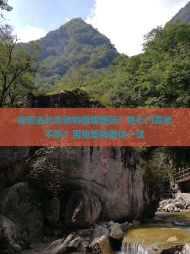 龙岩去北京动物园哪里玩？担心门票抢不到？用抢票神器试一试