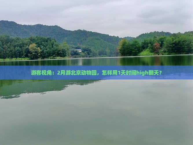游客视角：2月游北京动物园，怎样用1天时间high翻天？