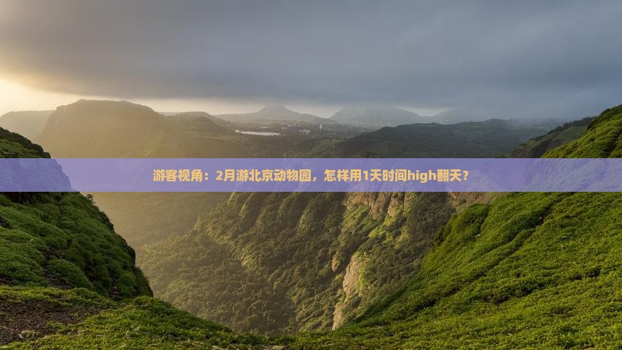 游客视角：2月游北京动物园，怎样用1天时间high翻天？