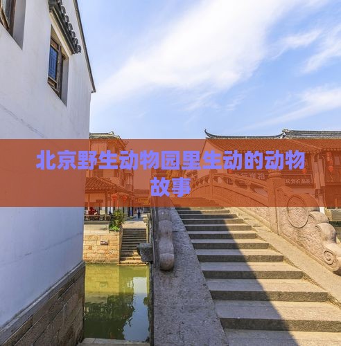 北京野生动物园里生动的动物故事