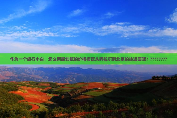作为一个旅行小白，怎么用最划算的价格搞定从阿拉尔到北京的往返票呢？????????