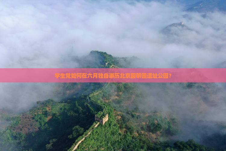 学生党如何在六月独自游历北京圆明园遗址公园？