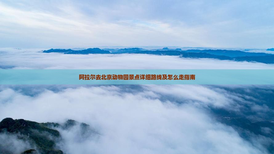 阿拉尔去北京动物园景点详细路线及怎么走指南