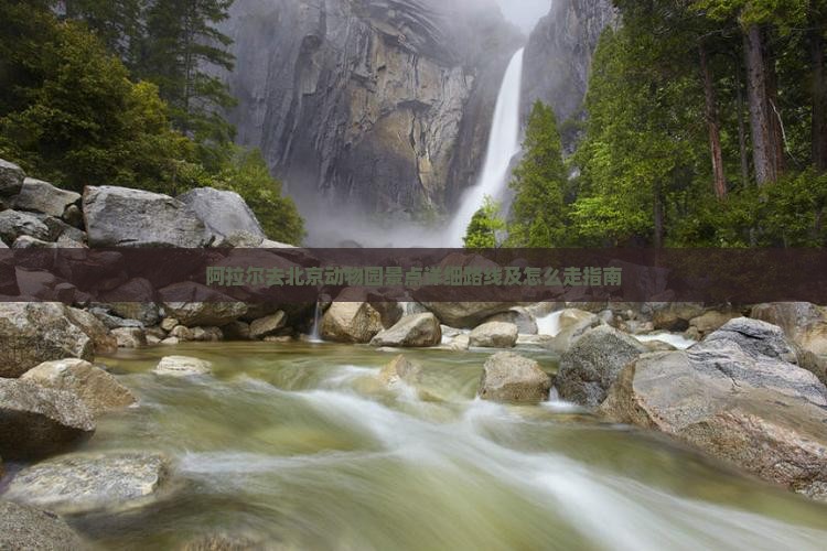 阿拉尔去北京动物园景点详细路线及怎么走指南
