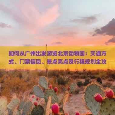 如何从广州出发游览北京动物园：交通方式、门票信息、景点亮点及行程规划全攻略