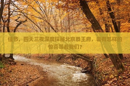 佳节，四天三夜深度探秘北京恭王府，会有怎样的惊喜等着我们？