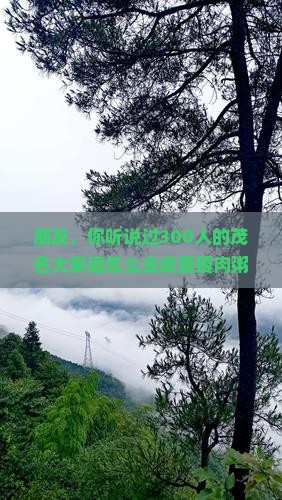 朋友，你听说过300人的茂名大家庭怎么去皮蛋瘦肉粥的故乡北京玩吗？一起探讨下？