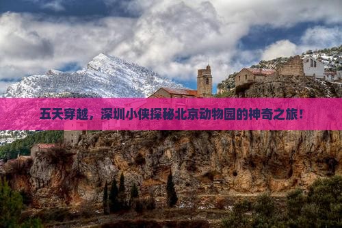 五天穿越，深圳小侠探秘北京动物园的神奇之旅！