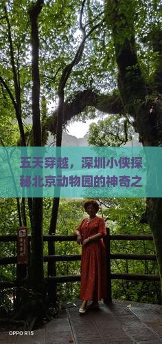 五天穿越，深圳小侠探秘北京动物园的神奇之旅！