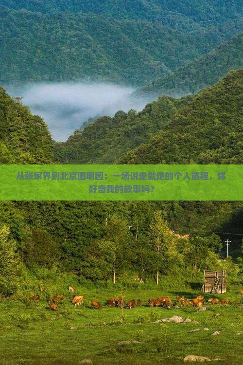 从张家界到北京圆明园：一场说走就走的个人旅程，你好奇我的故事吗？