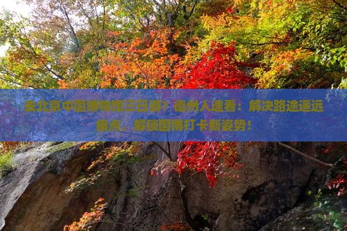去北京中国博物馆三日游？德州人速看：解决路途遥远痛点，解锁国博打卡新姿势！