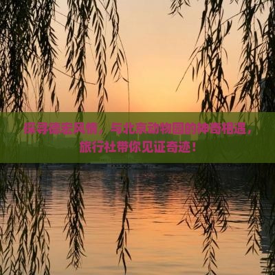 探寻德宏风情，与北京动物园的神奇相遇，旅行社带你见证奇迹！