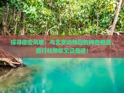 探寻德宏风情，与北京动物园的神奇相遇，旅行社带你见证奇迹！