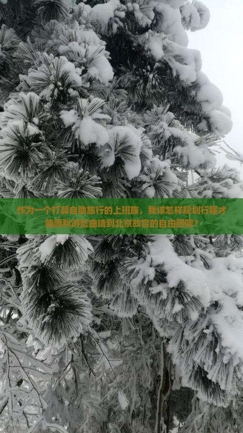 作为一个打算自助旅行的上班族，我该怎样规划行程才能顺利游览曲靖到北京故宫的自由团呢？