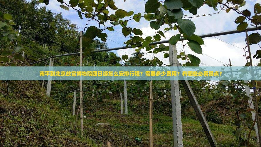 南平到北京故宫博物院四日游怎么安排行程？需要多少费用？有哪些必看景点？