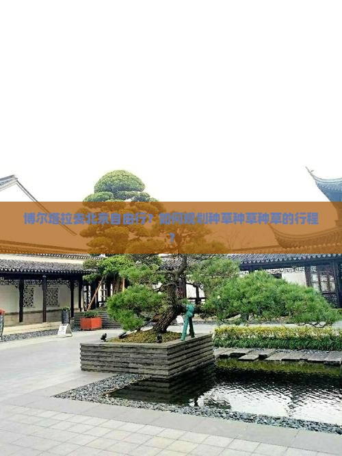 博尔塔拉去北京自由行？如何规划种草种草种草的行程？
