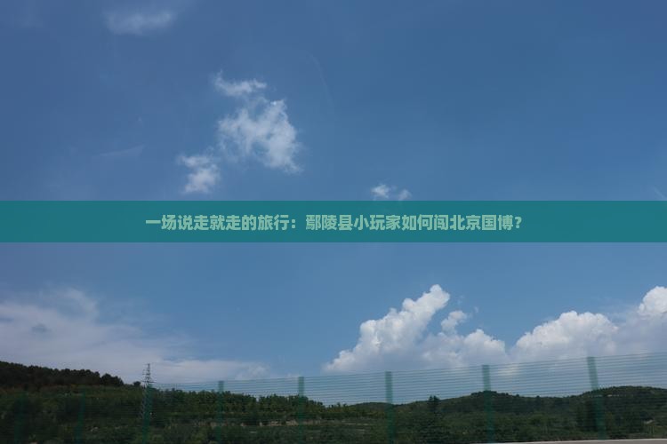 一场说走就走的旅行：鄢陵县小玩家如何闯北京国博？