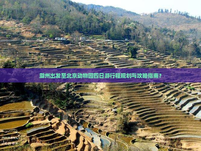 滁州出发至北京动物园四日游行程规划与攻略指南？