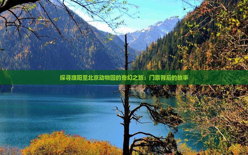 探寻濮阳至北京动物园的奇幻之旅：门票背后的故事