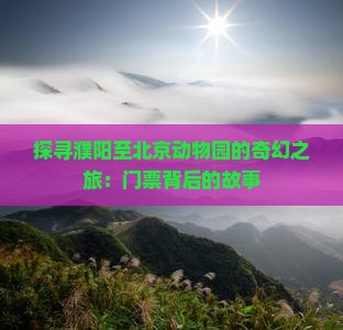 探寻濮阳至北京动物园的奇幻之旅：门票背后的故事