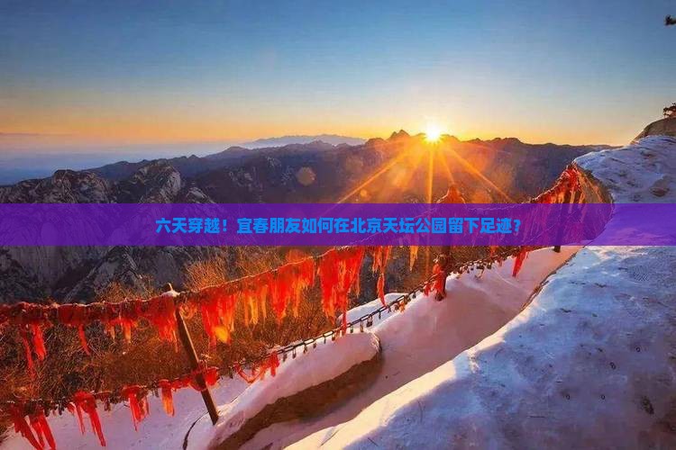 六天穿越！宜春朋友如何在北京天坛公园留下足迹？