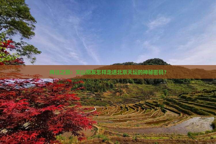 向往之旅：文山朋友怎样走进北京天坛的神秘密码？