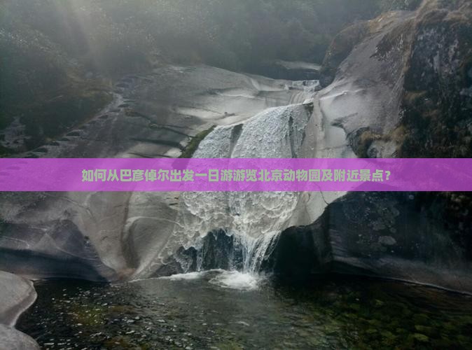 如何从巴彦倬尔出发一日游游览北京动物园及附近景点？