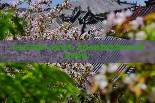 小白旅行蘸第一次自驾游，如何从醴陵轻松玩转北京故宫博物院？