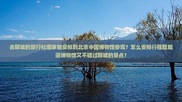 去聊城的旅行社哪家能安排到北京中国博物馆参观？怎么安排行程既能逛博物馆又不错过聊城的景点？