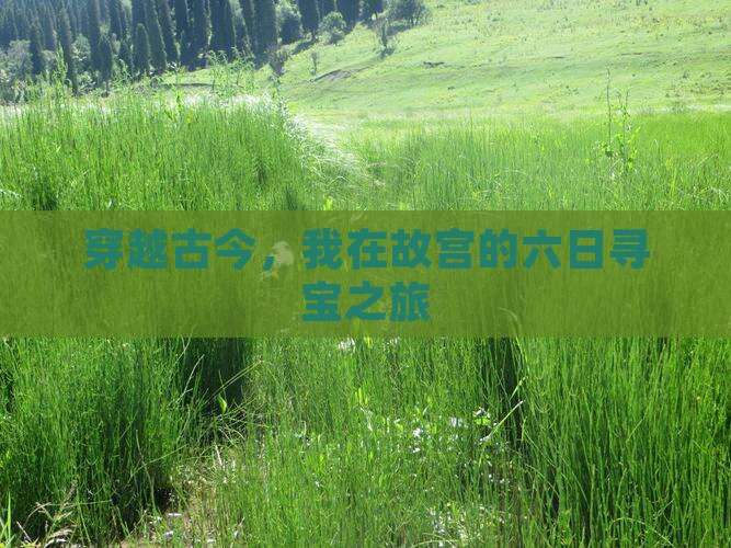 穿越古今，我在故宫的六日寻宝之旅
