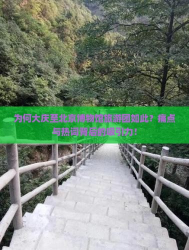 为何大庆至北京博物馆旅游团如此？痛点与热词背后的吸引力！