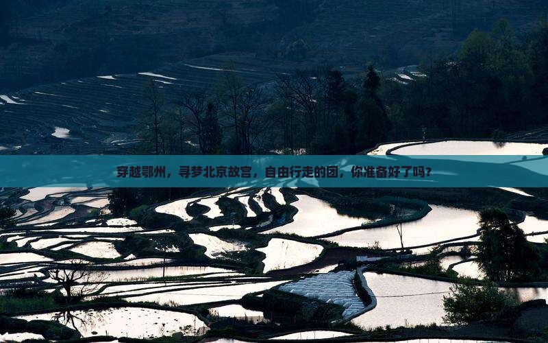 穿越鄂州，寻梦北京故宫，自由行走的团，你准备好了吗？