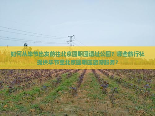 如何从毕节出发前往北京圆明园遗址公园？哪些旅行社提供毕节至北京圆明园旅游服务？