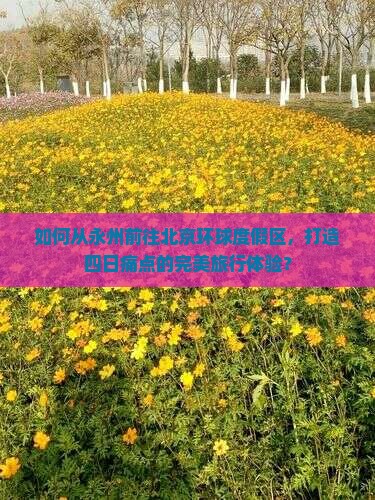如何从永州前往北京环球度假区，打造四日痛点的完美旅行体验？