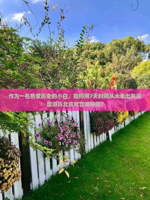 作为一名热爱历史的小白，如何用7天时间从大丰出发深度游历北京故宫博物院？