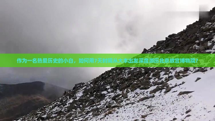 作为一名热爱历史的小白，如何用7天时间从大丰出发深度游历北京故宫博物院？